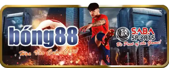 Hướng dẫn giao dịch